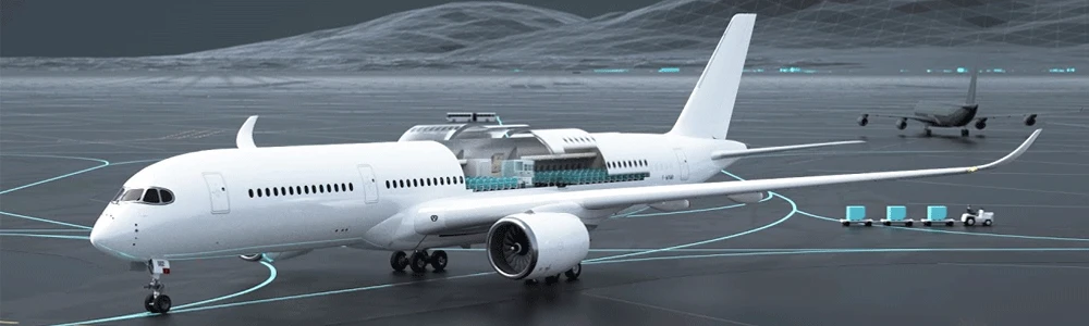 airplane-seal-4 airplane-seal-4